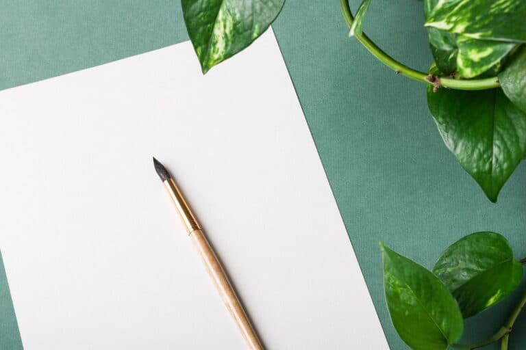 white watercolor paper on green background